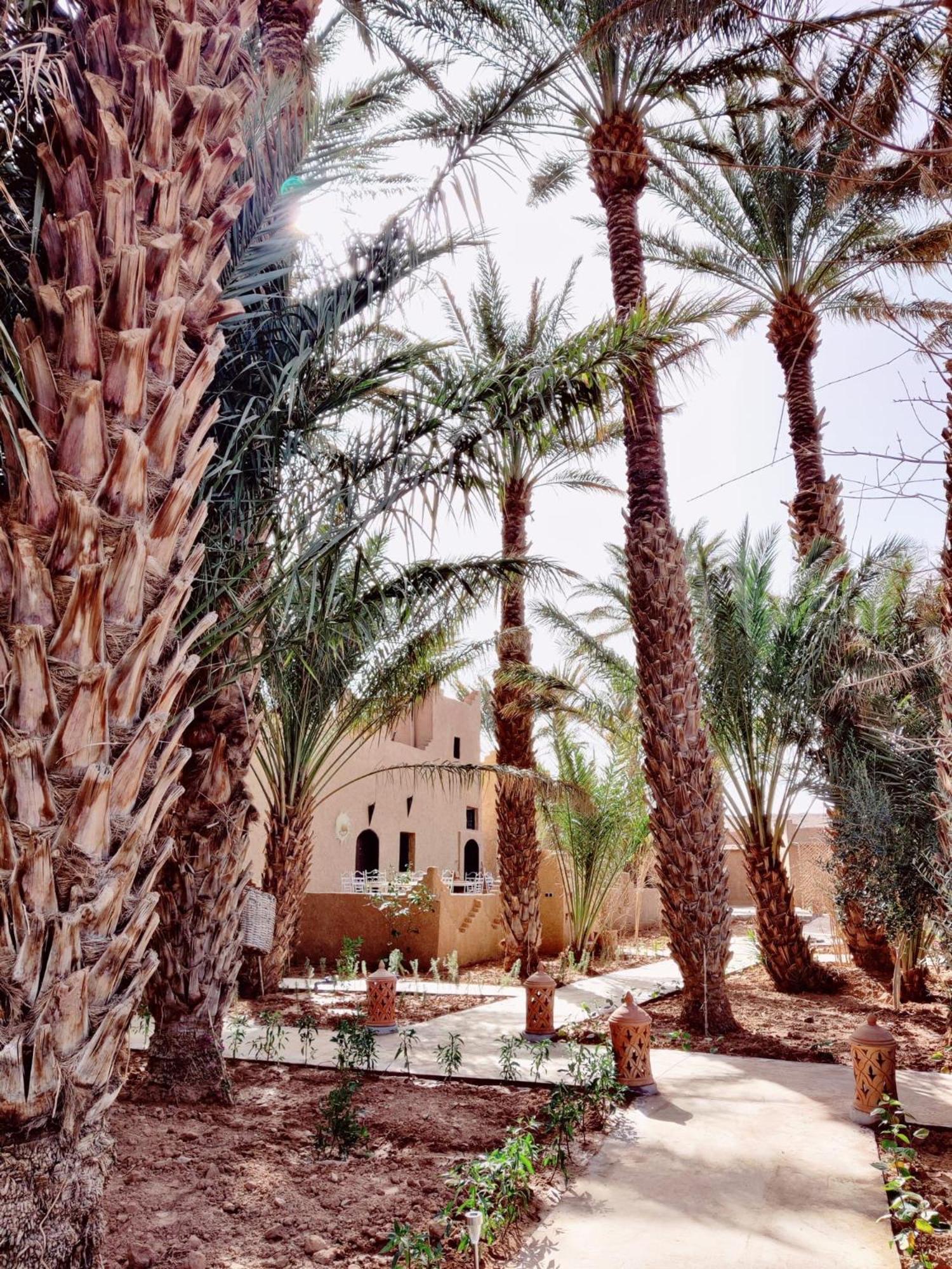 Zagora Oasis Lodge Zewnętrze zdjęcie