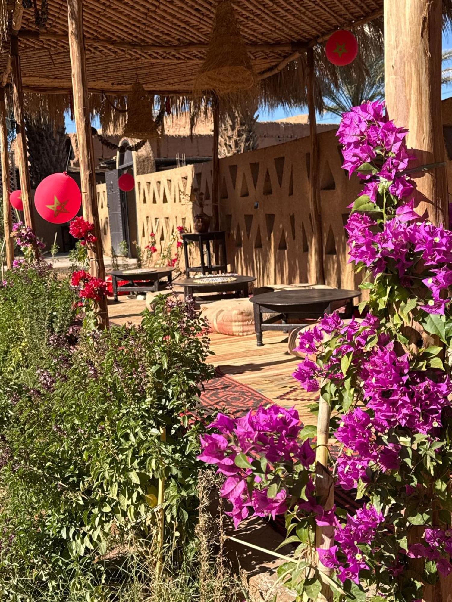 Zagora Oasis Lodge Zewnętrze zdjęcie